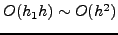 $h_1^2$