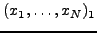 $(x_1 ,\ldots ,x_N)_1$