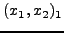 $(x_1 ,x_2)_1$