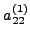 $a_{22}^{(1)} $