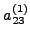 $a_{23}^{(1)} $
