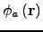 $ \phi_{a} \left(\mathbf{r}\right)$